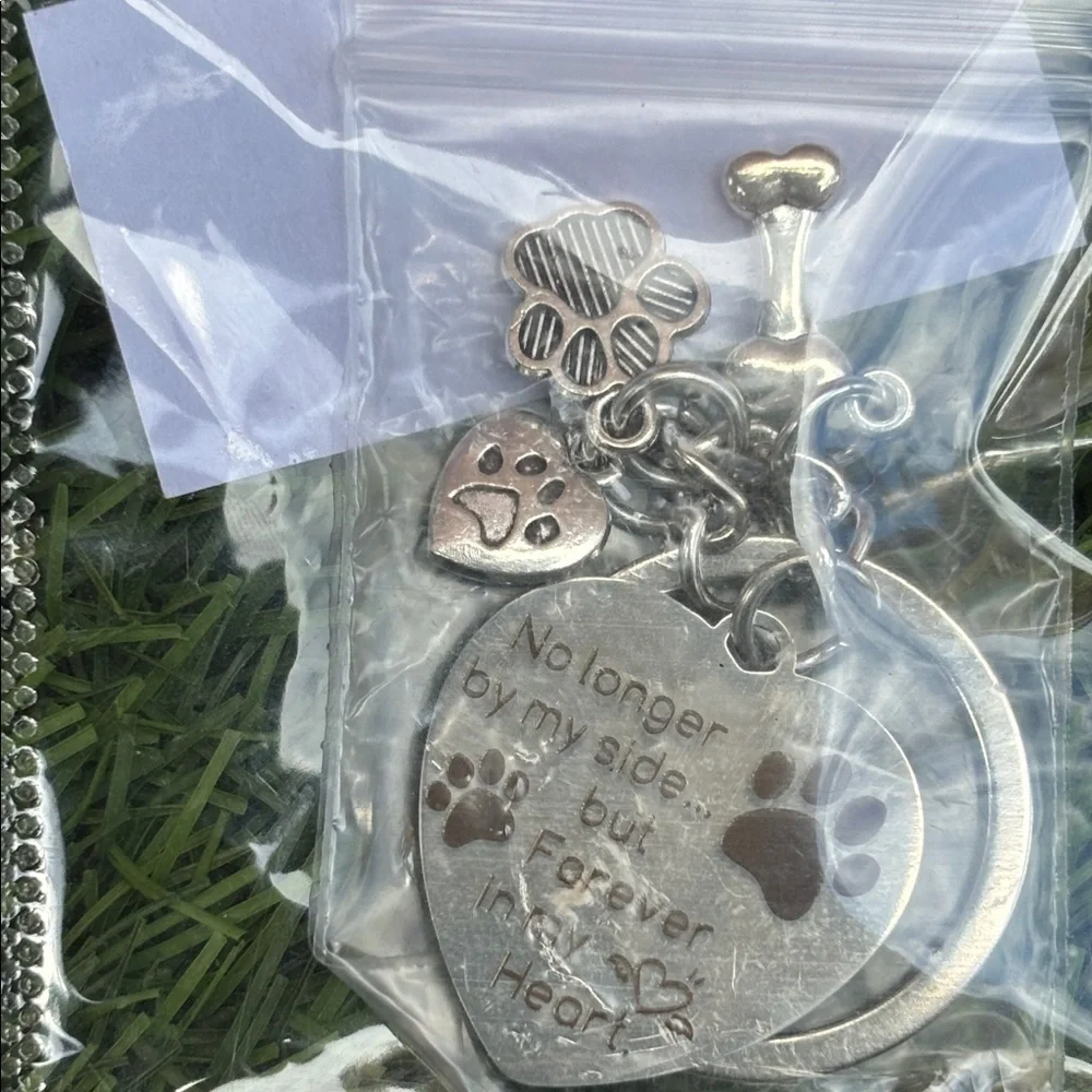 Silver Pet Memorial Keychain with Paw Charms
